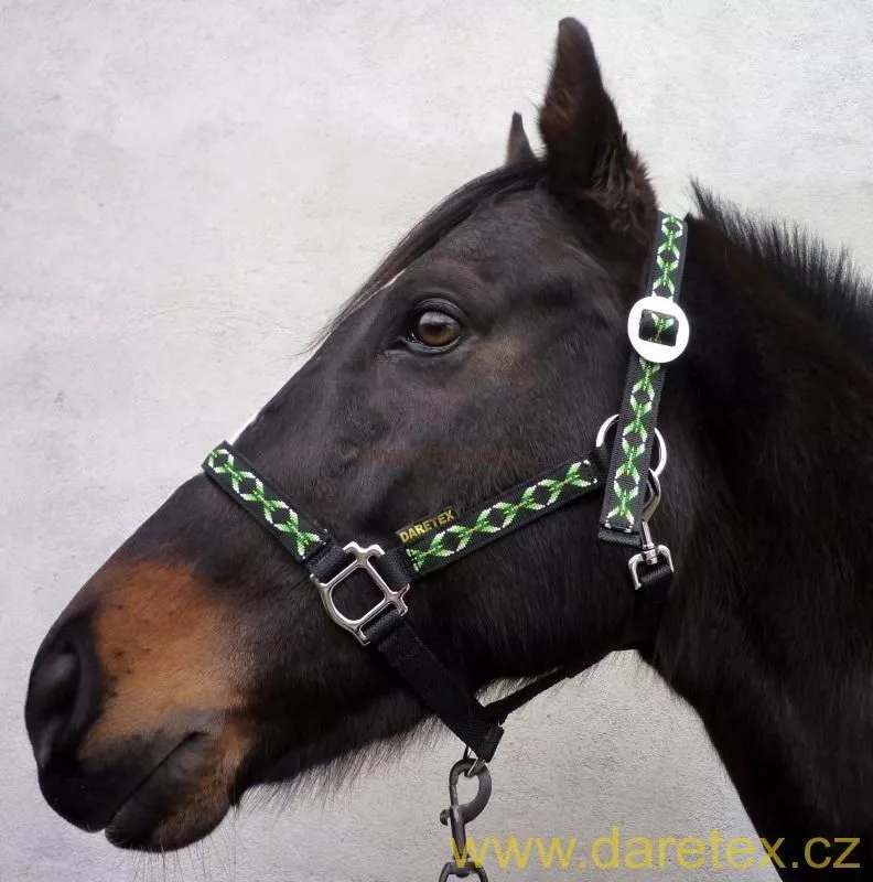 Ohlávka West - PONY Daretex
